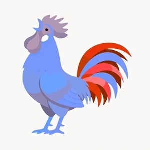 a rooster